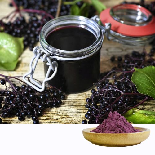 Black Elderberry Extract Powder