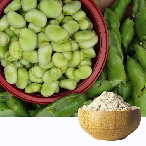 Fava Bean Protein 90%